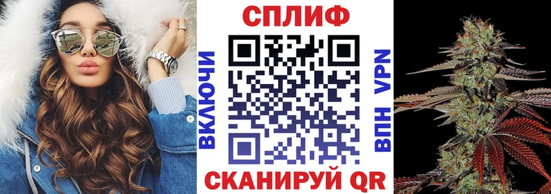 Канабис конопля  Купить где  Нововоронеж 